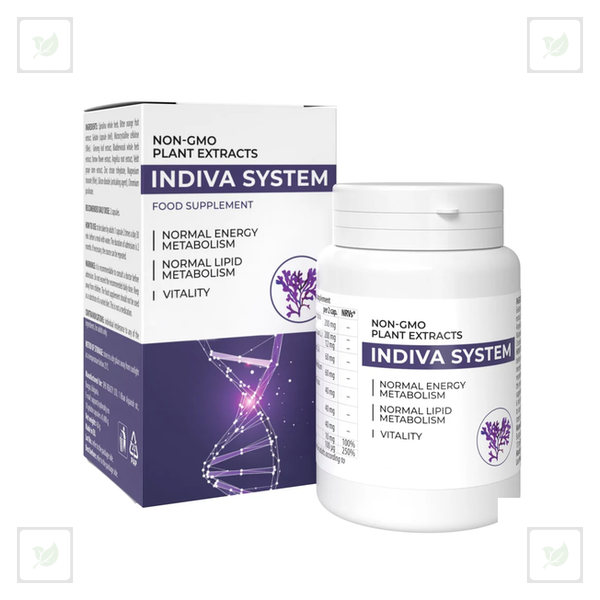 InDiva System